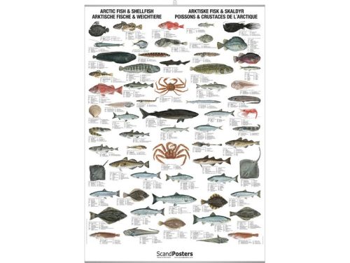 Arctic Fish & Shellfish