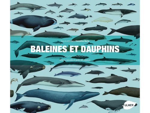 Baleines et Dauphins