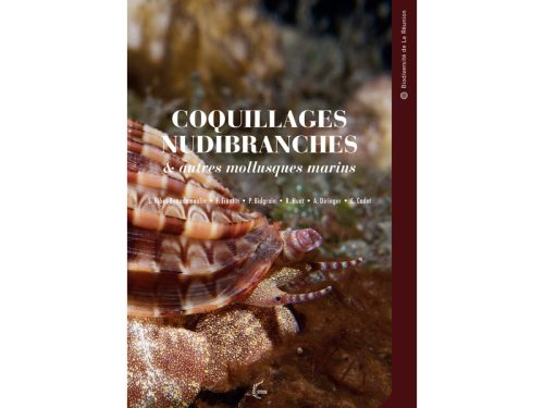 Coquillages Nudibranches & autres mollusques marins