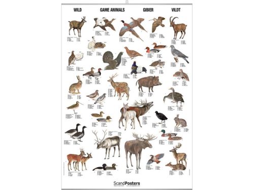 Game Animals