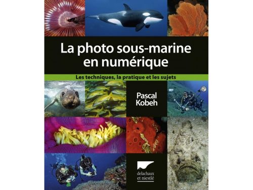 La photo sous marine en numérique, Les techniques, la pratique et les sujets