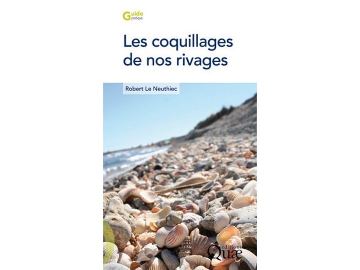 Les coquillages de nos rivages