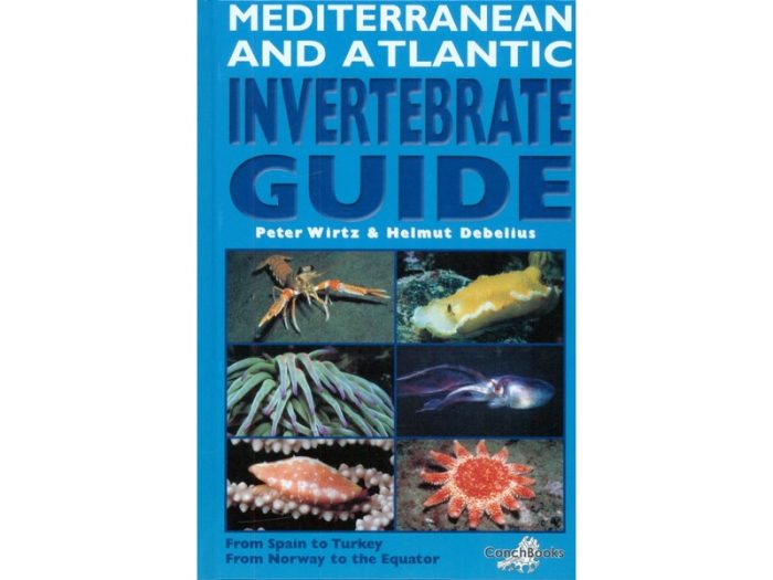 Mediterranean and Atlantic Invertebrate Guide