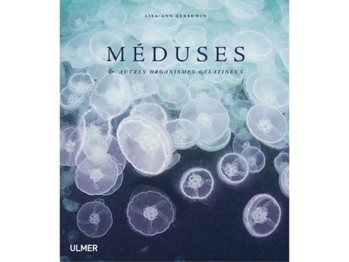 Méduses & autres organismes gélatineux