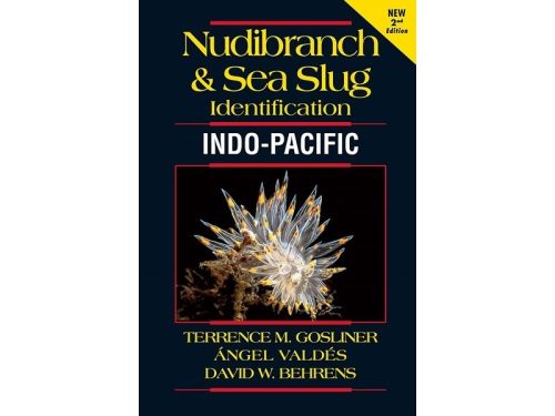 Nudibranch & Sea Slug Identification - Indo-Pacific