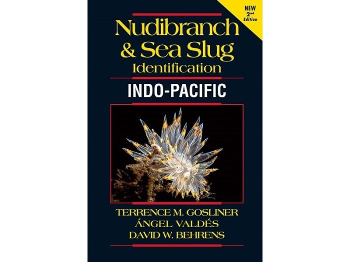 Nudibranch & Sea Slug Identification - Indo-Pacific