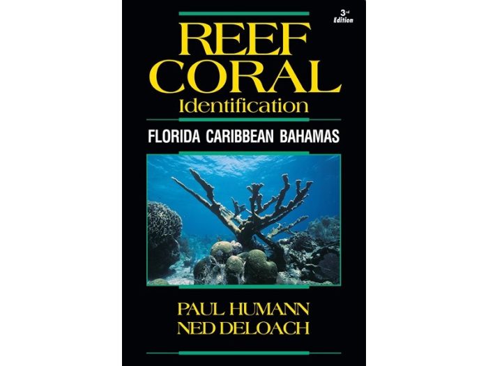 Reef Coral Identification - Florida, Caribbean, Bahamas