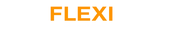 logo flexilyon